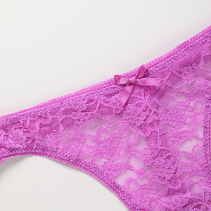 Ladymate ODM/OEM Tangas De Encaje Para Mujer للنساء سراويل داخلية دانتيل شفاف ملابس داخلية دانتيل فلورا للنساء على شكل حرف T - Product Image 4