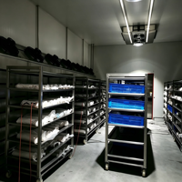 Machine de décongélation à basse température et haute humidité pour la décongélation avant le traitement de la viande.