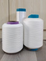Fil fantaisie 100 % polyester vierge 300D DTY haute ténacité, écologique, blanc brillant brut pour tricot et tissu tissé