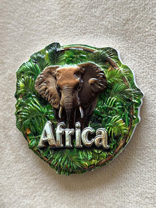 Xuyên biên giới thương mại điện tử Châu Phi cứu trợ động vật ba chiều nhựa 10x8 nhà tủ lạnh nam châm quà tặng quà lưu niệm du lịch - Product Image 5