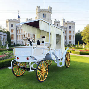 Özel Taşımacılık At Arabası 4 Tekerlekli Gezi Düğün ve Balkabağı Turları Atlı Turist Arabaları - Product Image 1