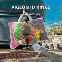 Bague d'identification élastique pour l'entraînement des pigeons de course, accessoire pour oiseaux