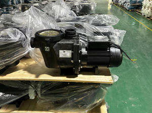Pentair ปั๊มสระว่ายน้ำแรงดันสูง3HP 110V220V380V ปั๊มสระน้ำแห้ง - Product Image 3