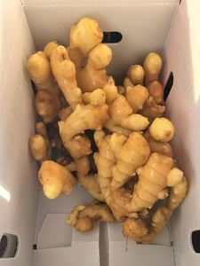 Высококачественный китайский имбирь для сохранения свежести, экспортный, весом более 100 г и 150 г - Product Image 4