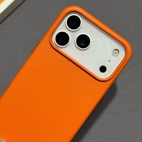 Étuis de téléphone en cuir pour iPhone 17 Pro Max, antichoc, design magnétique, livrés avec boîte de vente au détail