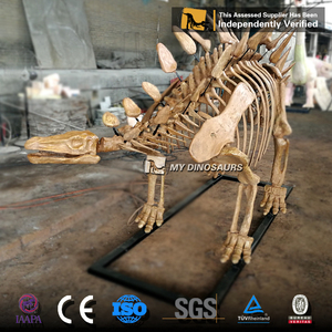 My Dino DS014 Dinosaur Museum Display Fiberglass Dinosaur <strong>Skeleton</strong> of <strong>Stegosaurus</strong> - Product Image 6