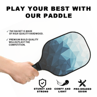 Meilleures ventes - Ensemble de raquettes de pickleball de haute qualité, en fibre de verre, avec noyau en nid d'abeille, légères et durables