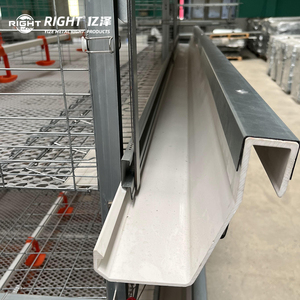 Jaula Automática Tipo H para Pollos <span class=keywords><strong>de</strong></span> Engorde YIZE, Jaula para Cría <span class=keywords><strong>de</strong></span> Aves <span class=keywords><strong>de</strong></span> Corral, Jaula para 5000 Pollos <span class=keywords><strong>de</strong></span> Engorde - Product Image 5