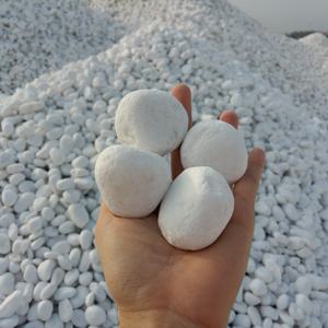 พิพิธภัณฑ์สัตว์น้ำหินธรรมชาติสีขาวกรวดหินสำหรับตกแต่ง - Product Image 2