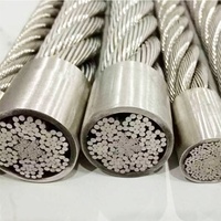 Udiya Fabrik Maßgefertigtes 1,45mm 2,7mm PVC-beschichtetes Edelstahlseil (304/316) 7*19 7*7 Drahtseil - Für Aufzüge