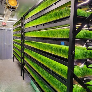 Sistema Automatizado de Cultivo Hidropónico de Forraje en Contenedores, Máquina de Forraje para Cebada, Maíz, Trigo y Pasto para Alimentación de Ganado - Product Image 5