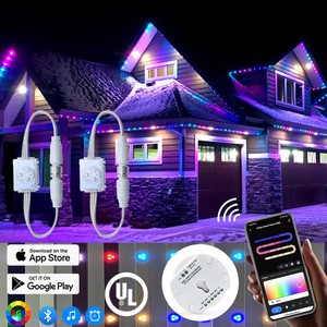 Pixel thông minh RGB ánh sáng ws2811 IP68 Chất lượng cao chiếu sáng vĩnh viễn kỳ nghỉ giáng sinh ánh sáng ngoài trời không thấm nước pixel LED ánh sáng - Product Image 2