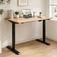 Cadre de bureau électrique moderne réglable en hauteur, double moteur, écologique, portable, base de bureau assis-debout, DIY, métal personnalisé
