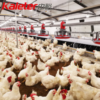 Système d'alimentation automatique pour poulets de chair, avec mangeoire motorisée, matériel d'élevage avicole pour fermes