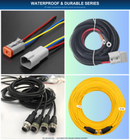 Rangkaian Kabel Harness Kustom dengan Isolasi Nylon/PBT/Karet, Kelas IP66, Kawat Tembaga Berlapis Timah untuk Otomotif, E-bike, dan Elektronik