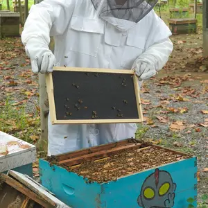 Bijenteelt Gereedschap Langstroth Bijenkorf Plastic Bijenhoningkorf Foundation