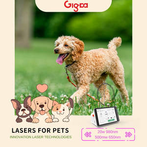 Peralatan dokter hewan multi-panjang gelombang 810nm 980nm mesin terapi <span class=keywords><strong>Laser</strong></span> untuk anjing mengurangi nyeri dan peradangan - Product Image 2