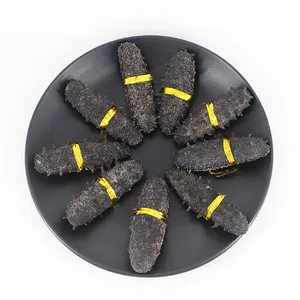 Good Price of Dried Sea Cucumber Product From DALIAN China Sea Slug Sea Cucumber for Sale