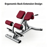 Banc de musculation robuste en acier pour l'extension dorsale, équipement de fitness commercial, machine d'entraînement du bas du dos pour la salle de sport et l'entraînement à domicile