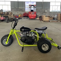 Mini kart de course à pédales pour adultes, 212cc, 8,5 CV, moteur à essence 4 temps, transmission par chaîne, pneus de course de 5 pouces, freins hydrauliques, vitesse maximale de 60 km/h