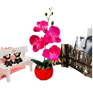 Orchidées Phalaenopsis artificielles, rouge kaki, bonsaï 30 cm, décoration pour la maison et les mariages, plantes en pot en soie et plastique - Product Image 5