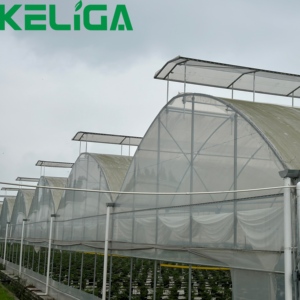 Système de culture hydroponique NFT bon marché Projet clé <span class=keywords><strong>en</strong></span> <span class=keywords><strong>main</strong></span> de légumes Green House Channel Square PVC Pipe Système hydroponique vertical - Product Image 4