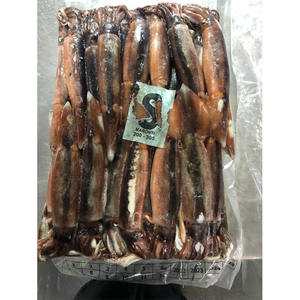 االحبار المجمدة سياحة االحبار المجمدة من الأرجنتين منتج االحبار المجمدة االحبار المجمدة الدائرية من الأرجنتين - Product Image 4