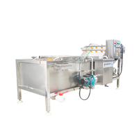 HDF Automatische Motorisch Aangedreven Clementine Wasmachine 304 RVS Fruit- en Groenteverwerkingsmachine 800kg/uur Capaciteit