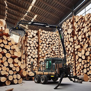 <span class=keywords><strong>Grue</strong></span> à bois pour montage de tringlerie à 3 points <span class=keywords><strong>sur</strong></span> tracteur <span class=keywords><strong>remorque</strong></span> de <span class=keywords><strong>grue</strong></span> à bois avec flèche hydraulique et grappin utilisé pour tracteur - Product Image 3