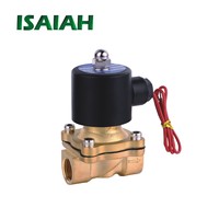 Válvula Neumática de Control de 2 Vías, Serie 2S, para Petróleo y Gas, 24V 110V 220V, de Acero Inoxidable, para Agua y Vapor, para Equipos Petroquímicos