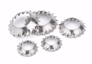 Chất Lượng Cao Thép Không Gỉ Răng Cưa Chìm Khóa Máy Giặt Din6798v Bên Ngoài Răng Máy Giặt Cho Đầu Phẳng Vít - Product Image 4