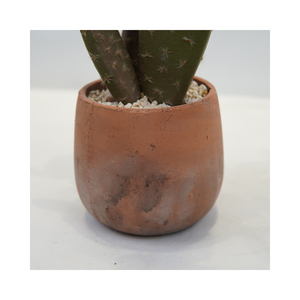 Commercio all'ingrosso di piccoli <span class=keywords><strong>cactus</strong></span> <span class=keywords><strong>artificiali</strong></span> con fiori bianchi in plastica in vaso succulenta pianta da tavola per interni esterni scrivania arredamento - Product Image 5