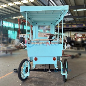 Classic Retro Horse Carriage <b>Double</b>-Row Electric Cart Hotel Hot-Selling Romantic Sightseeing Carriage - Product Image 4