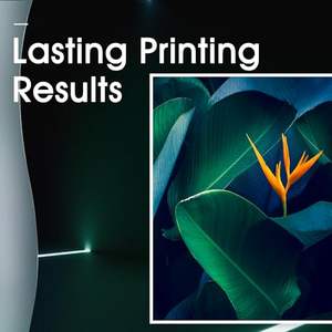 适用于TS3122 MX492 MG2522 <span class=keywords><strong>MG2922</strong></span> MG2420 TR4520打印机的佳能243XL 244XL兼容墨盒 - Product Image 3