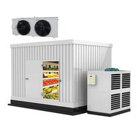 Machine de congélation rapide, chambre froide, choc de stockage à froid, petit congélateur à Air pour poisson
