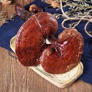 Cogumelos orgânicos <span class=keywords><strong>Lingzhi</strong></span> Ganoderma lucidum erva para alimentos e bebidas - Product Image 4
