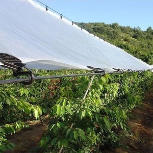 Bâche <span class=keywords><strong>agricole</strong></span> en PE renforcée sur mesure pour la protection des raisins et des cerises contre la pluie dans les vergers - Product Image 4