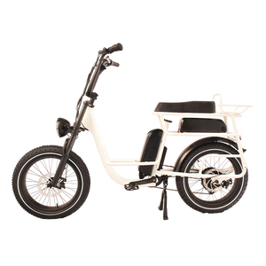 RaiderRover-40F double batterie 20 pouces <span class=keywords><strong>750W</strong></span> vtt vélo électrique hybride vélo électrique à gros pneus pour adultes - Product Image 2
