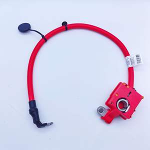 Cable de Batería BMW 61129225099 para X3 F25, Pieza de Repuesto Nueva - Product Image 1