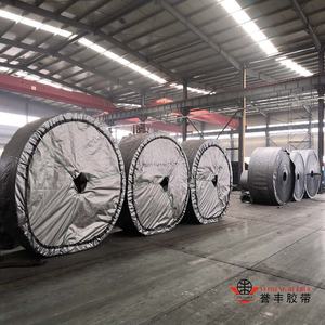 Tarım hasat ihtiyaçları için ISO heng ISO sertifikalı epep200 4ply 650mm konveyör bant sistemi - Product Image 4