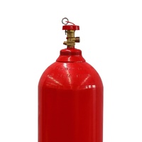 Certification TPED Haute Qualité FM 200 HFC 227EA Cylindre Haute Pression Portable 6.67L 216bar Extincteur Utilisation Personnalisée