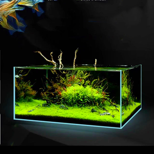 48G Groot Kristalhelder Glazen <span class=keywords><strong>Aquarium</strong></span> - Ultra Wit <span class=keywords><strong>Aquarium</strong></span> Voor Koraalveredeling, Rif Landschapsarchitectuur, Open Top Ontwerp - Product Image 5