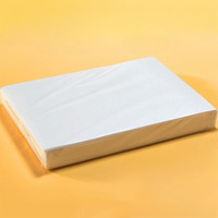 Vente en gros de papier de riz A4 fin de 0.35mm fournitures de décoration de gâteau outils de gâteau papier gaufrette