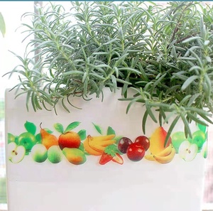Vinilos Decorativos Removibles para Ventanas con Diseño <span class=keywords><strong>Botánico</strong></span>, para Privacidad en Jardines, Invernaderos y Puertas de Vidrio - Product Image 4