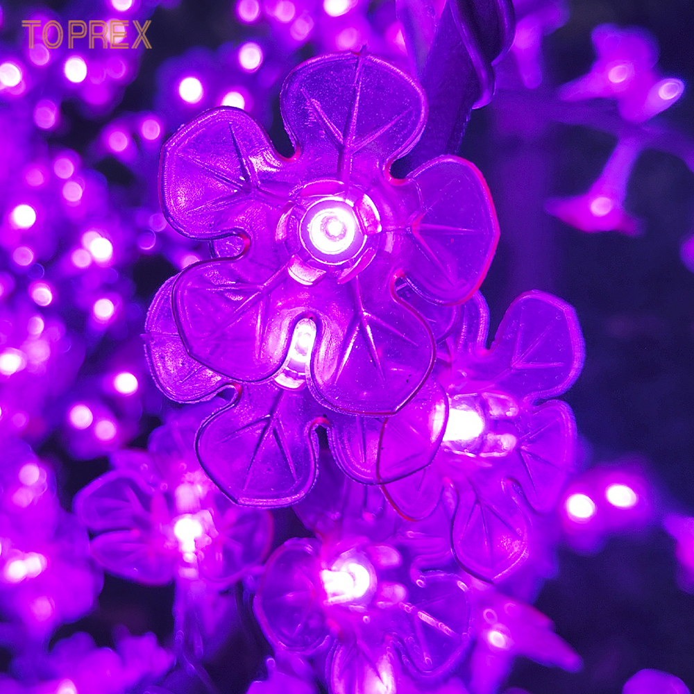 Pourpre