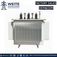 Transformateur de distribution triphasé à bain d'huile 11KV 33kV 1000kVA 1250kVA 1600kVA 415V 480V 50/60Hz en cuivre pour la distribution d'énergie