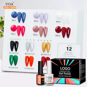 Nieuw Ontwerp Private Label Doorweekt Kit Magnetische Polish Set Custom Logo Kleurrijk Kristal Gel Nagels Nagelbenodigdheden