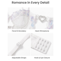 Ensemble de lingerie en dentelle transparente, soutien-gorge en dentelle florale irisée en maille transparente, corset long push-up avec culotte ornée d'un cœur