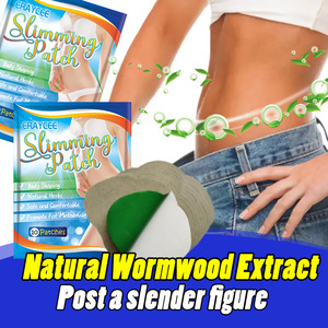 Cerotti Dimagranti Naturali a Marchio Privato, 10 Pezzi/Scatola, per Bruciare i Grassi e Snellire la Pancia - Product Image 3