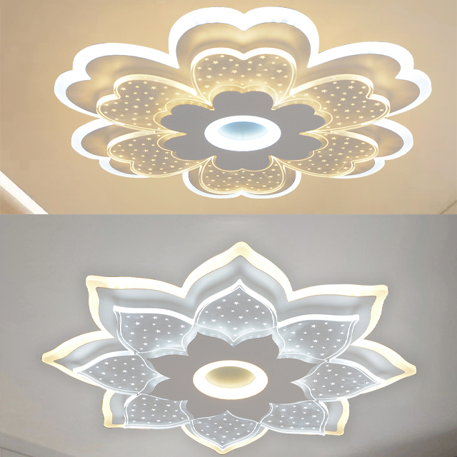 Modern Nordic LED Ceiling Light Fancy Simple Acrylic Design for Indoor Bedroom Living Room Remote Control Dimming Minimalist